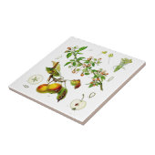 リンゴ タイル (側面)