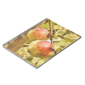 リンゴ ノートブック (左側)