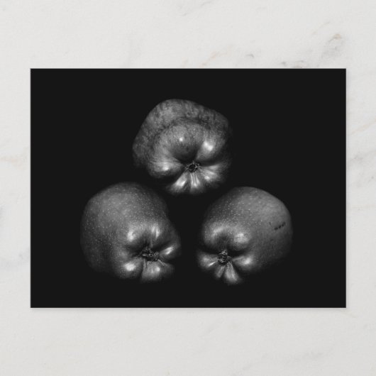 リンゴ – ファインアートクラシックエレガントおもしろいユニーク ポストカード (正面)