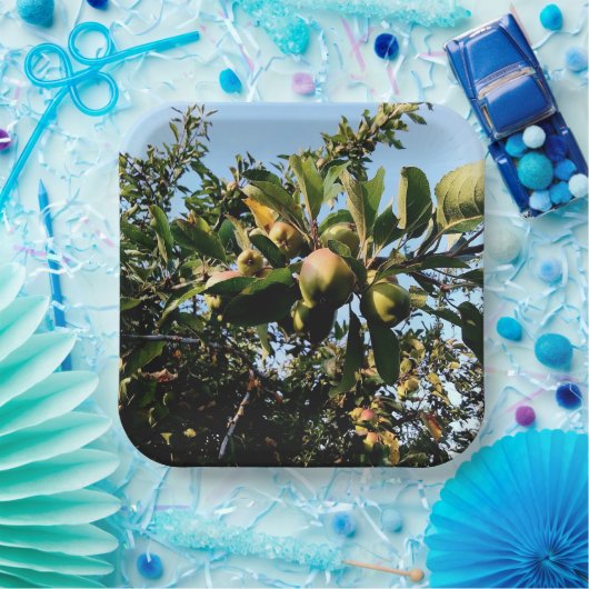 リンゴ ペーパープレート (パーティー)