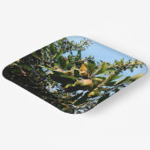 リンゴ ペーパープレート (傾斜あり)