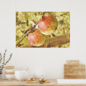 リンゴ ポスター (キッチン)