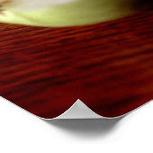 リンゴ ポスター (角)