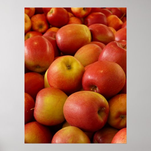 リンゴ ポスター (正面)
