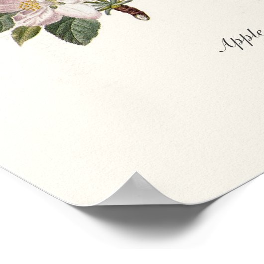 リンゴ ポスター (角)