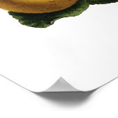 リンゴ ポスター (角)