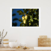 リンゴ ポスター (キッチン)