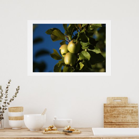 リンゴ ポスター (キッチン)