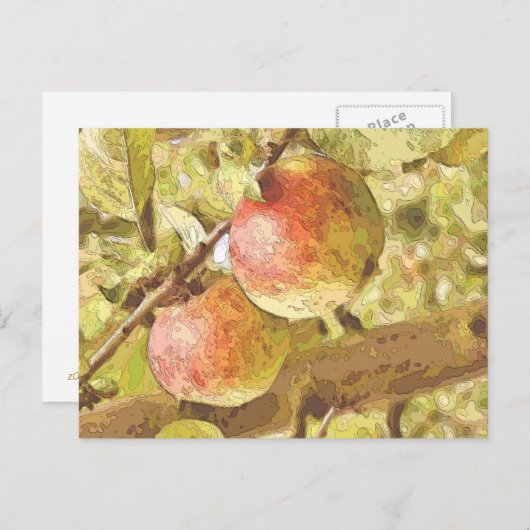 リンゴ ポストカード (正面/裏面)