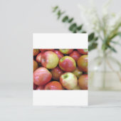リンゴ ポストカード (スタンド正面)