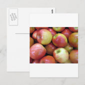 リンゴ ポストカード (正面/裏面)