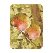 リンゴ マグネット (縦)