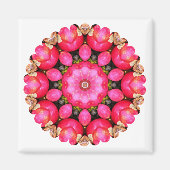 リンゴ マグネット (正面)