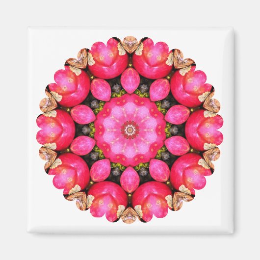 リンゴ マグネット (正面)