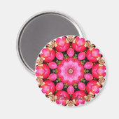 リンゴ マグネット (正面/裏面)