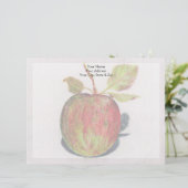 リンゴ レターヘッド (スタンド正面)