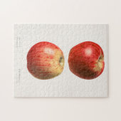 リンゴ(Malus Domestica)果実水絵画色 ジグソーパズル (横)