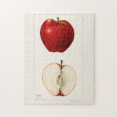 リンゴ(Malus Domestica)果実水絵画色 ジグソーパズル (縦)