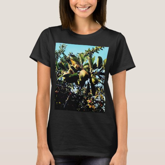 リンゴ Tシャツ (正面)