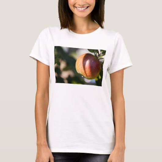 リンゴ Tシャツ (正面)