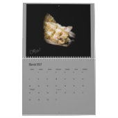リンジー2017の養育関係の子ネコのカレンダー カレンダー (3月 2027)