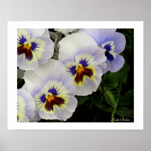 リンダかわいらし・ベッカーの列に並んだメイド ポスター (正面)