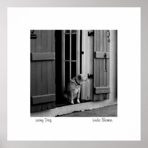 リンダベッカーPhotoArt著幸運な犬 ポスター