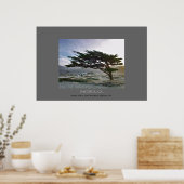 リンダマールサイプレス ポスター (キッチン)