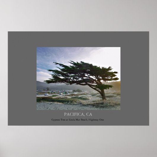 リンダマールサイプレス ポスター (正面)