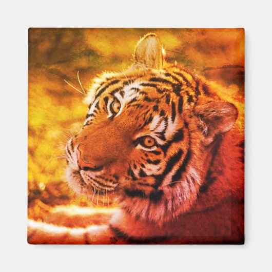 リンダ・エクスプレサン・デ・ティグレ・ディタド。 マグネット (正面)