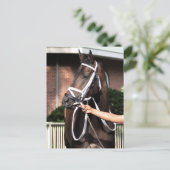 リンダ・ミミおめでとう ポストカード (スタンド正面)