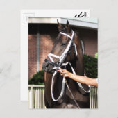 リンダ・ミミおめでとう ポストカード (正面/裏面)