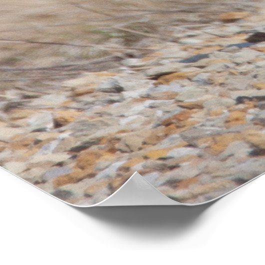 リンチェクキジ ポスター (角)