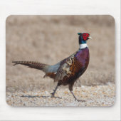 リンチェクキジ マウスパッド (正面)