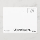 リンチバーグビュー ポストカード (裏面)