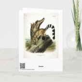 リンテール(リングや輪尾バサリス、リンゴット) カード (裏面)