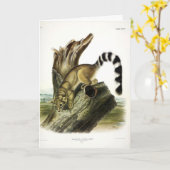 リンテール(リングや輪尾バサリス、リンゴット) カード (黄色い花)