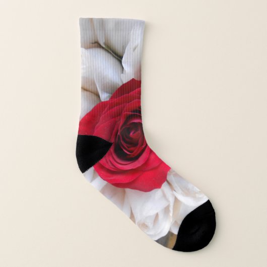 リンデルン ソックス (右外側)