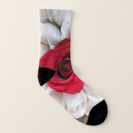 リンデルン ソックス (左内側)