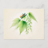 リンデン中国のにインクがバグを起こす可能性がある ポストカード (正面)