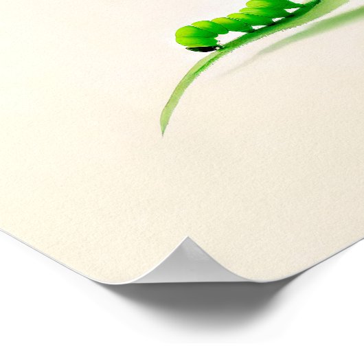 リンデン中国ののインキバタフライ毛虫 ポスター (角)