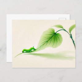 リンデン中国ののインキバタフライ毛虫 ポストカード