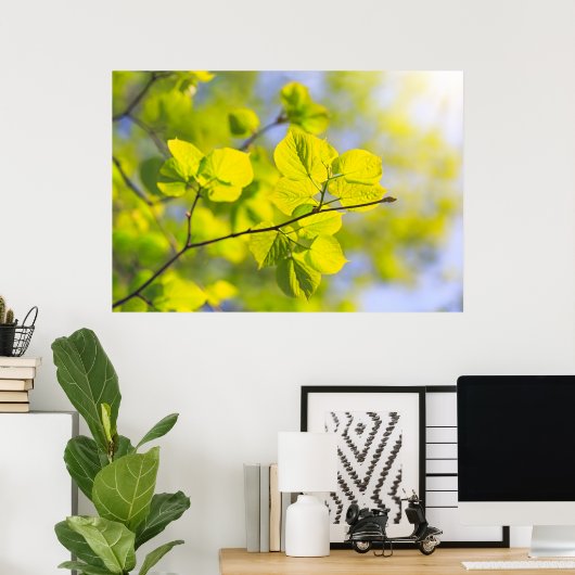 リンデン葉 ポスター (ホームオフィス)