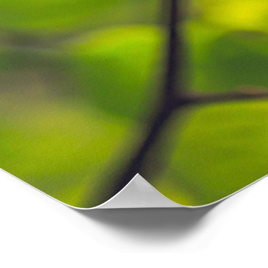 リンデン葉 ポスター (角)