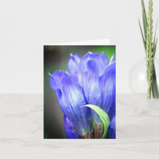 リンドウの花の写真 ノートカード (正面)