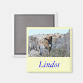 リンドス マグネット (正面/裏面)