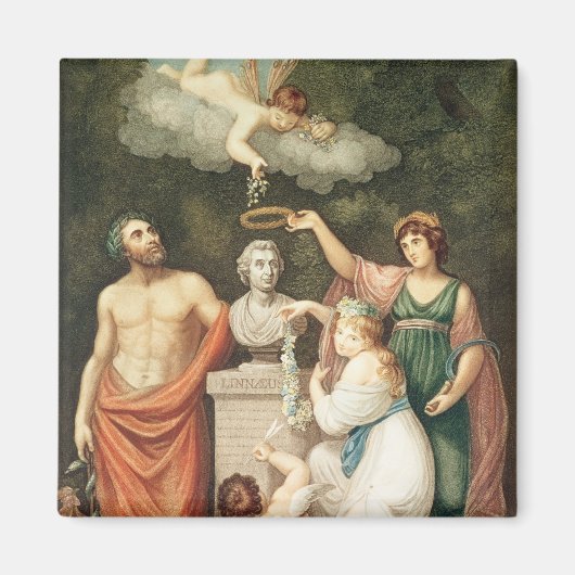 リンネウスの胸像を讃える マグネット (正面)