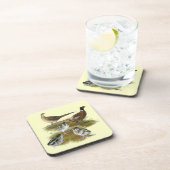 リンネックキジ科 コースター (右側)