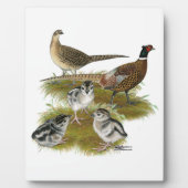 リンネックキジ科 フォトプラーク (正面)