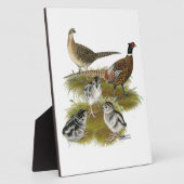 リンネックキジ科 フォトプラーク (側面)